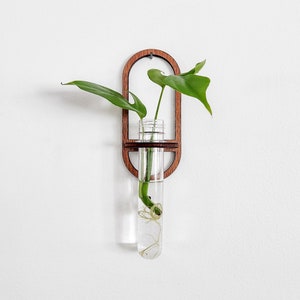 Wall Propagation Station - Modern Minimalist Design - Hydroponic Hanging Wood Test Tube Holder for Propagating Plant Cuttings in Water