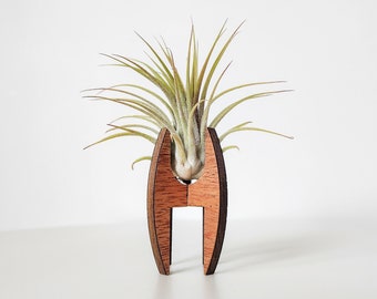 Air Plant Holder for Desk, Table, or Shelf - Air Plant Display Stand - MCM Air Plant Decor - Cute Modern Wood Air Plant Gift for Plant Lover