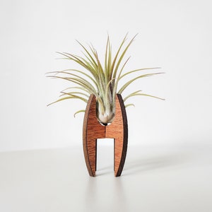 Air Plant Holder for Desk, Table, or Shelf - Air Plant Display Stand - MCM Air Plant Decor - Cute Modern Wood Air Plant Gift for Plant Lover