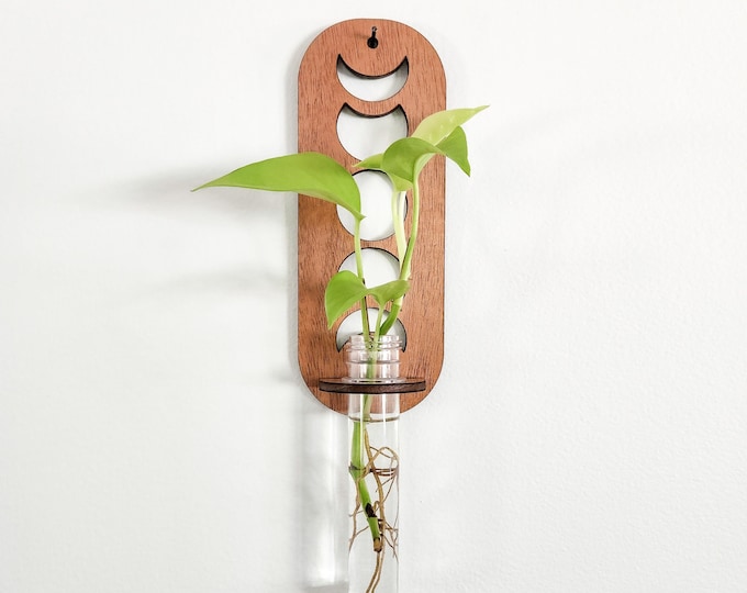 Wall Propagation Station - Moon Phase Design - Hydroponic Test Tube Holder for Propagating Plant Cuttings in Water - Hanging, Mounted