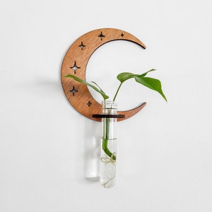 May include: A wooden crescent moon wall planter with a cutout star design. A clear glass test tube with a plant is inserted into the planter.