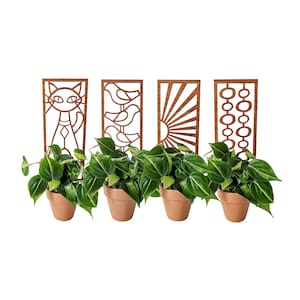 MCM Indoor Plant Trellises (3 Sizes for 2-6&quot; Pots) Bundle of 4 | Mini & Small Wood House Plant Supports for Pothos, Hoya, Ivy, Philos + More