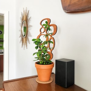 MCM Circles Indoor Plant Trellis (3 Sizes for 2-6&quot; Pots) | Mini & Small Wood House Plant Support for Pothos, Hoya, Peperomia, Philos + More!