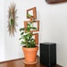 see more listings in the Houseplant Trellises section