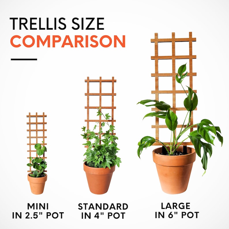 May include: Three wooden trellises of different sizes, each with a potted plant. The trellises are labeled "Mini in 2.5" pot", "Standard in 4" pot", and "Large in 6" pot".
