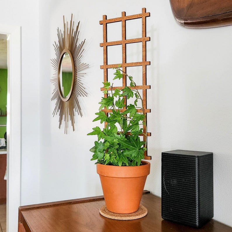 May include: A potted green plant growing up a wooden trellis with a brown terracotta pot. The plant is in front of a wooden shelf with a black speaker on it.