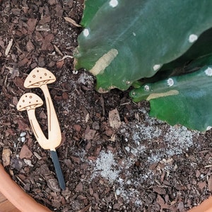 May include: A wooden mushroom shaped garden marker with a black metal stake. The marker is in a pot of soil with a green cactus plant.