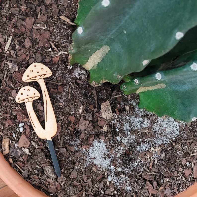 May include: A wooden mushroom shaped garden marker with a black metal stake. The marker is in a pot of soil with a green cactus plant.