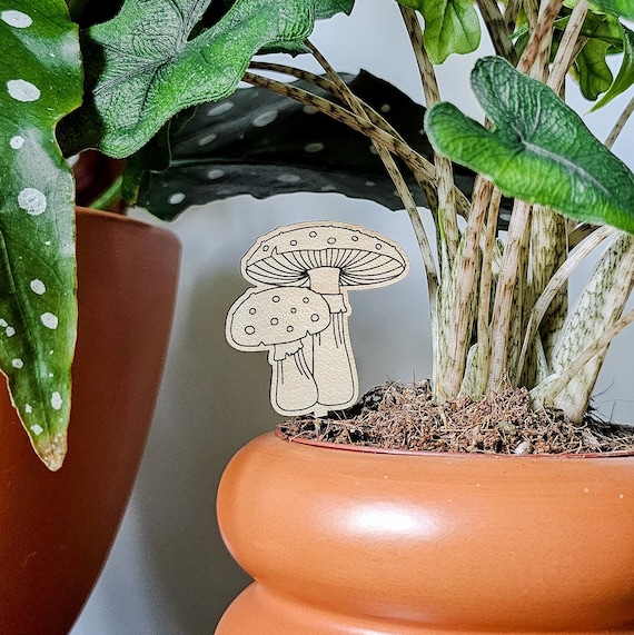 Amanita Mushroom Plant Stake (2 Sizes) - Plant Accessories - Wood Indoor  Plant Pot Dcor - Houseplant Decoration - Plant Mom Lover Gift Idea - Etsy