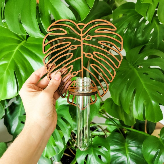 Wall Propagation Station - Monstera Leaf - Hydroponic Wood Test Tube Holder  for Propagating Plant Cuttings in Water - Hanging, Mounted - Etsy