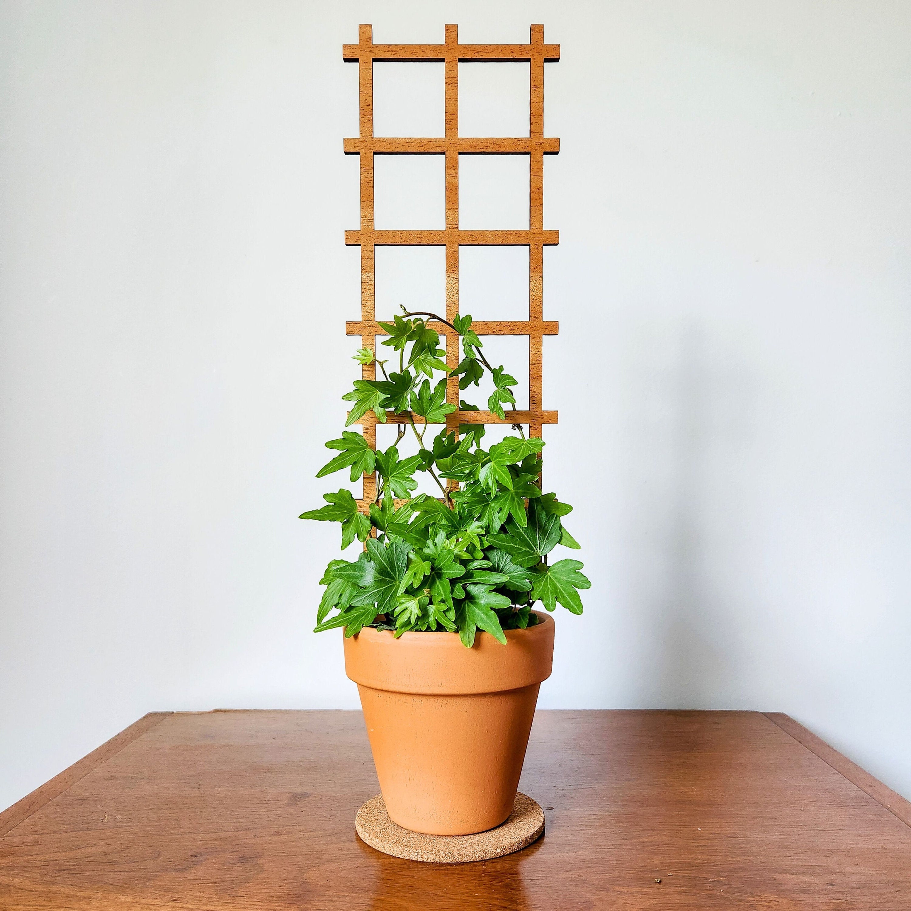 Ladder Indoor Plant Trellis (3 Sizes for 2-6" Pots) | Mini & Small Wood  House Plant Support for Pothos, Hoya, Peperomia, Ivy, Philos + More! - Etsy