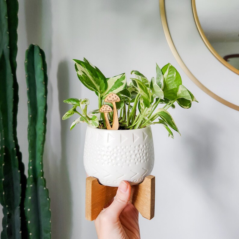 May include: A white ceramic planter with a textured surface sits on a wooden stand. The planter is filled with a green and white variegated plant with two wooden mushroom-shaped plant stakes.