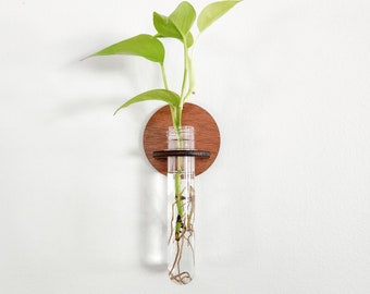 Wall Propagation Station - Hydroponic Test Tube Holder for Propagating Plant Cuttings in Water - Hanging Plant Room Décor - Plant Gift Idea