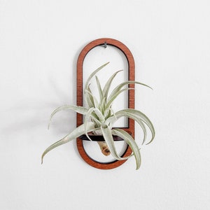 Wall Air Plant Holder Display (Hanging) - Air Plant Hanger - Minimalist Boho Oval Wood Air Plant Wall Decor - Gift Idea for Plant Lovers