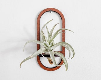 Wall Air Plant Holder Display (Hanging) - Air Plant Hanger - Minimalist Boho Oval Wood Air Plant Wall Decor - Gift Idea for Plant Lovers