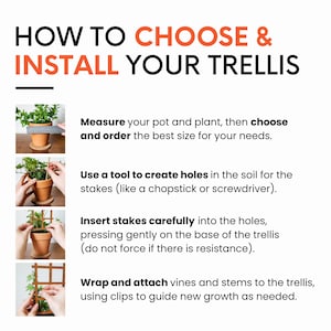 May include: A step-by-step guide on how to choose and install a trellis for plants. The guide includes four steps: measuring the pot and plant, creating holes in the soil, inserting stakes, and attaching vines to the trellis.