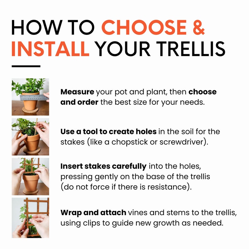 May include: A step-by-step guide on how to choose and install a trellis for plants. The guide includes four steps: measuring the pot and plant, creating holes in the soil, inserting stakes, and attaching vines to the trellis.