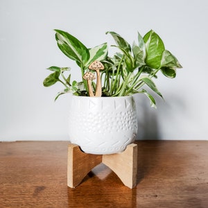 May include: A white ceramic planter with a textured surface sits on a wooden stand. The planter is filled with a green and white variegated plant. Two wooden mushroom-shaped plant stakes are placed in the soil.