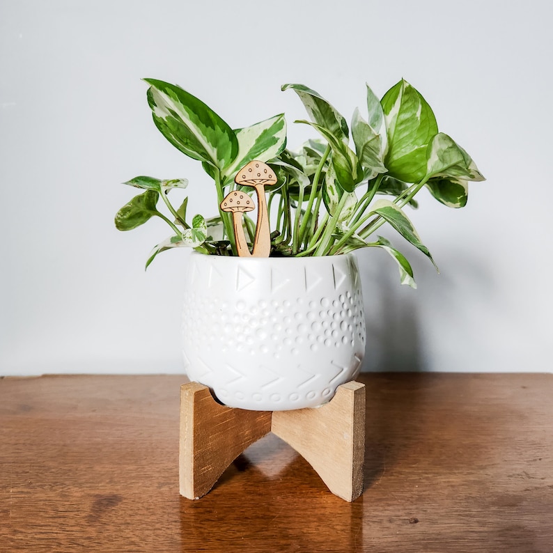 May include: A white ceramic planter with a textured surface sits on a wooden stand. The planter is filled with a green and white variegated plant. Two wooden mushroom-shaped plant stakes are placed in the soil.