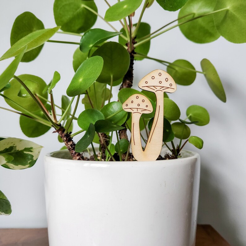 May include: Two wooden mushroom plant markers, one larger than the other, are placed in a white pot filled with a green leafy plant.