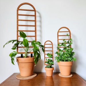 Ladder Arch Indoor Plant Trellis 3 Sizes for 2-6 Pots Mini & Small Wood House Plant Support for Pothos, Hoya, Peperomia, Philos More image 8