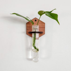 May include: A wooden hexagonal wall planter with a glass test tube for holding a small plant. The planter has a dark brown stain and a black metal ring around the test tube. A green plant with long leaves is growing in the test tube.