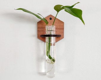 Wall Propagation Station - Hexagon Wooden Test Tube Holder - Propagate Plant Cuttings in Water - Hanging Hydroponic Plant Décor - Plant Gift