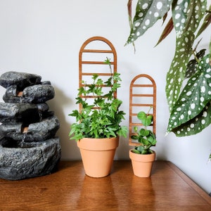 Ladder Arch Indoor Plant Trellis 3 Sizes for 2-6 Pots Mini & Small Wood House Plant Support for Pothos, Hoya, Peperomia, Philos More image 3