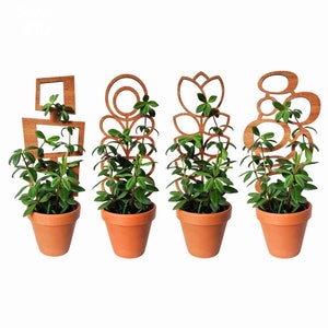 Bundle of 4 MCM Indoor Plant Trellises (3 Sizes for 2-6&quot; Pots) | Mini & Small Wood House Plant Supports for Pothos, Hoya, Ivy, Philos + More