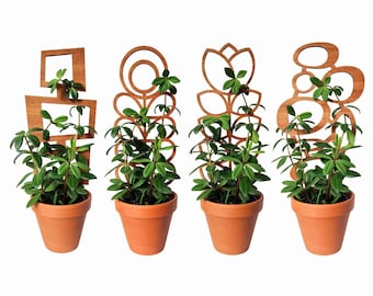 Bundle of 4 MCM Indoor Plant Trellises (3 Sizes for 2-6" Pots) | Mini & Small Wood House Plant Supports for Pothos, Hoya, Ivy, Philos + More