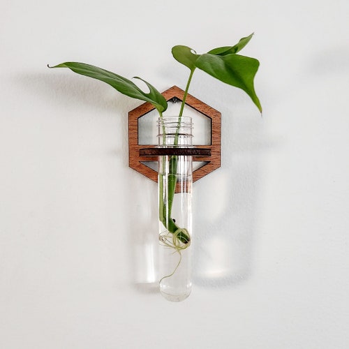 Plant Propagation Wall Hanging Station Test Tube Propagation - Etsy