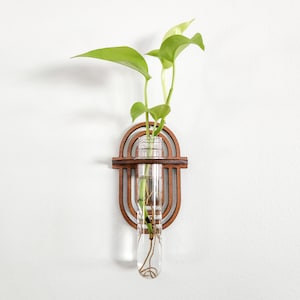 May include: A wooden wall planter with a geometric design, featuring a clear glass test tube filled with water and a green plant with leaves.