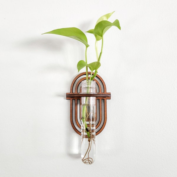 Wall Propagation Station - Boho Rainbow Design - Hydroponic Test Tube Holder for Propagating Plant Cuttings in Water - Hanging, Mounted