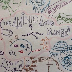 Aminosäure Mind Map für Medizinstudierende
