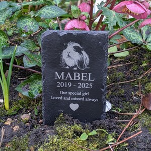 Personalised Guinea Pig (Long Haired) Slate Memorial Plaque, pet memorial, grave marker, pet headstone engraved plaque engraved pet memorial