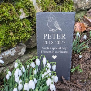 Personalised Budgie Slate Memorial Plaque, pet memorial, grave marker, pet headstone, engraved plaque, engraved pet memorial