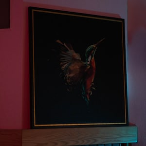 kingfisher bird painting in the dark without light up effect