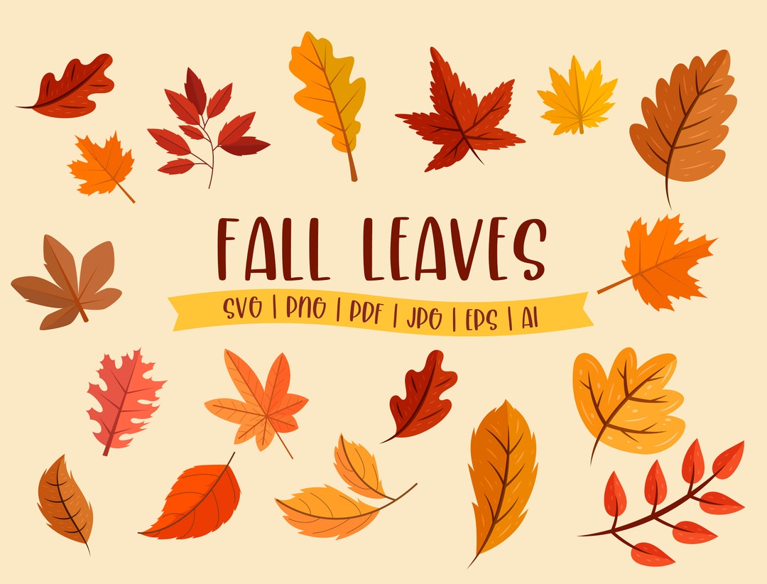 Fall Leaves Svg, Fall Svg, Fall Leaf Svg Bundle, Fall Png, Clipart, Cut ...