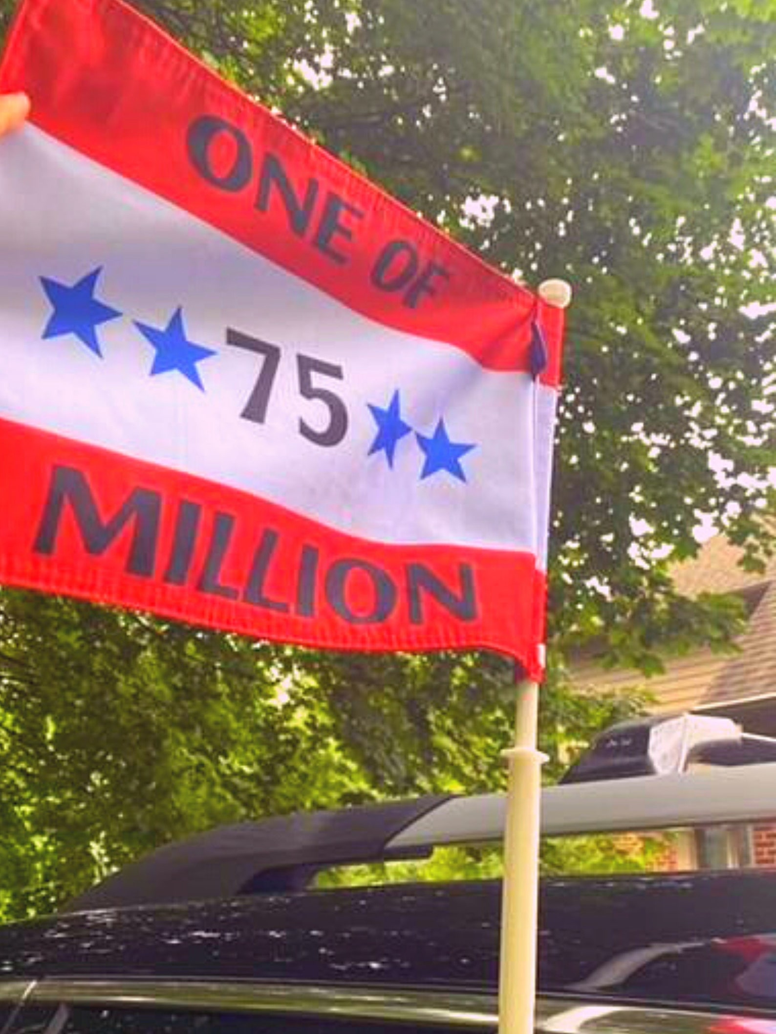 Trump Car Flag. Are you One of the 75 Million that voted MAGA Etsy