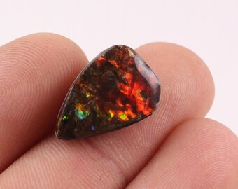 Ammolite- Alberta Natural Ammolite Freeform- Canadian Ammolite Fossil- Alberta Fossil - Epoxy top Ammolite 8.05CTS