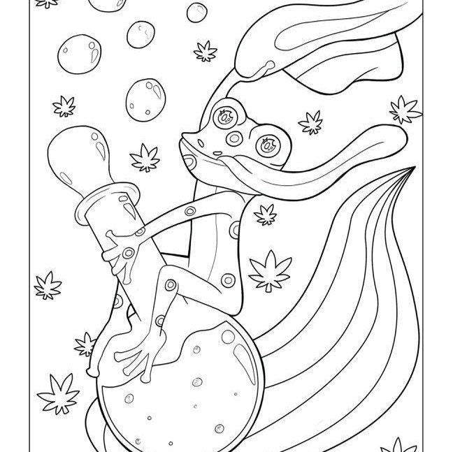 Cartoon Stoner Coloring Book: Funny Trippy Coloring Pages for Adults,  Mindful Stoner Designs for Stress Relief & Relaxation, High Coloring Books  for A - Literatura obcojęzyczna - Ceny i opinie 