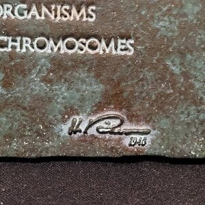Op de afbeelding: Een close-up van een bronzen plaquette met de tekst "Alle organismen hebben de chromosomen" en een handtekening met de datum "1946".