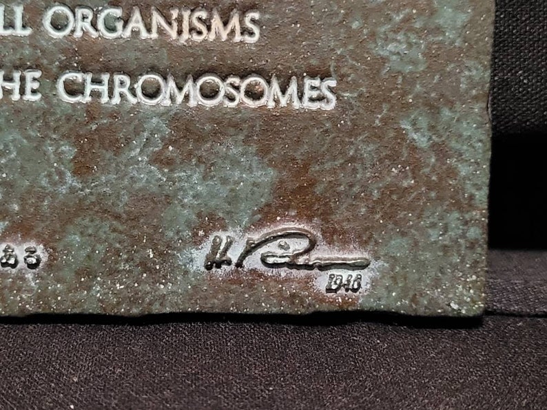 Op de afbeelding: Een close-up van een bronzen plaquette met de tekst "Alle organismen hebben de chromosomen" en een handtekening met de datum "1946".