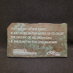 Op de afbeelding: Een rustieke, rechthoekige plaquette met een citaat over de geschiedenis van de aarde en organismen erop gegraveerd. Het citaat luidt: "De geschiedenis van de aarde is vastgelegd in de lagen van zijn korst. De geschiedenis van alle organismen is vastgelegd in de chromosomen." De plaquette is gesigneerd met "W. P.  1945".