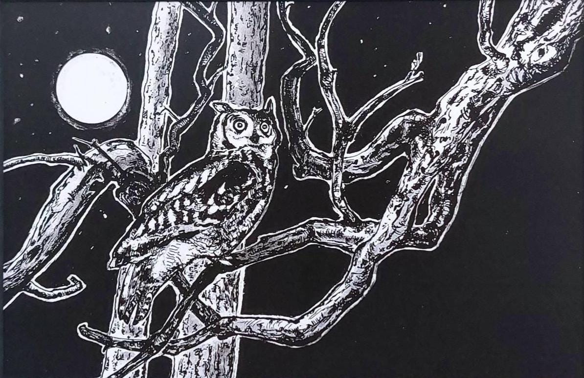 Original Pen and Ink Owl Drawing, Moonlit Night Forest Art, Matted 11x14