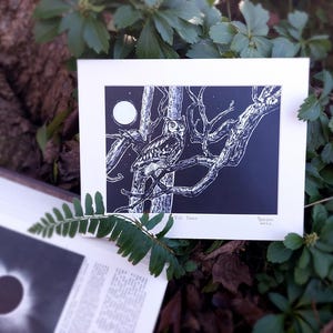 Owl Matted Print 8 x 10 Inches From Original Drawing Signed - Full Moon by ZeroArtefacts