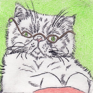 Op de afbeelding: Een kleurpotloodtekening van een witte kat met een kleine, ronde bril met groene glazen. De kat heeft een roze neus en staat tegen een groene achtergrond. De vacht van de kat is gedetailleerd met zwarte en grijze lijnen.