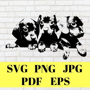 Three Dachshunds SVG, Digital file,  Dachshund Clip Art Vector, Dachshund Clipart, Dachshund Silhouette, Dachshund Cut File Pet Dog cricut