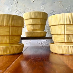 May include: Three yellow ceramic plant pots with matching saucers, each featuring a textured basket-weave pattern with alternating vertical and horizontal lines. The pots are arranged in a group, with two larger ones in front and one smaller one behind.