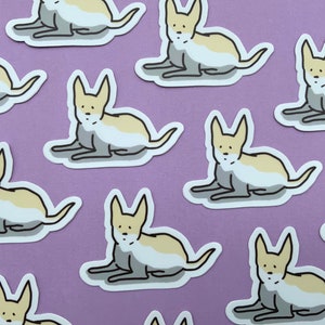 Chihuahua Dog Sticker